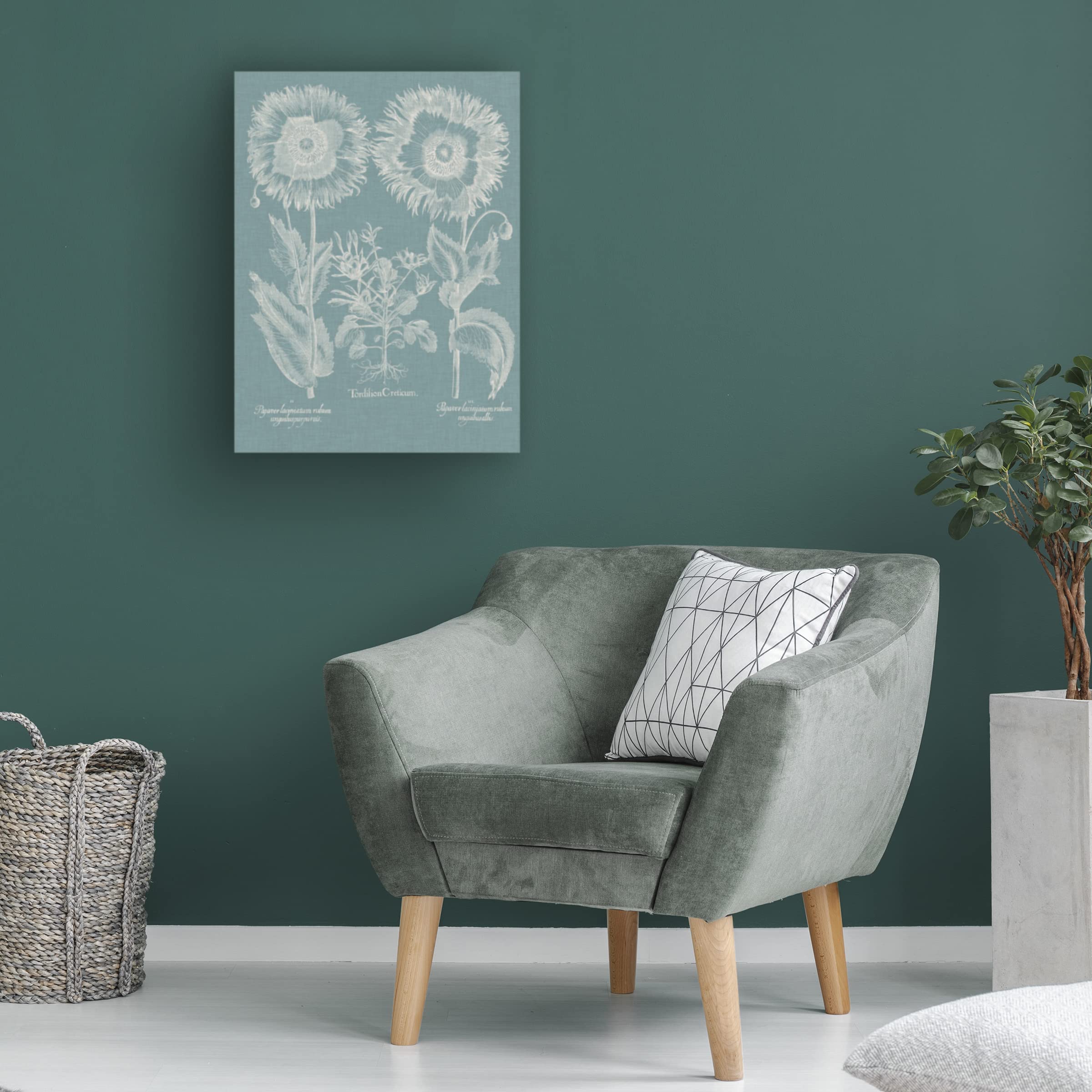Trademark Fine Art 'Besler Poppies I' Canvas Wall Art Print by Basilius Besler - Vibrant Floral Home Decor for Living Room, Bedroom & Office