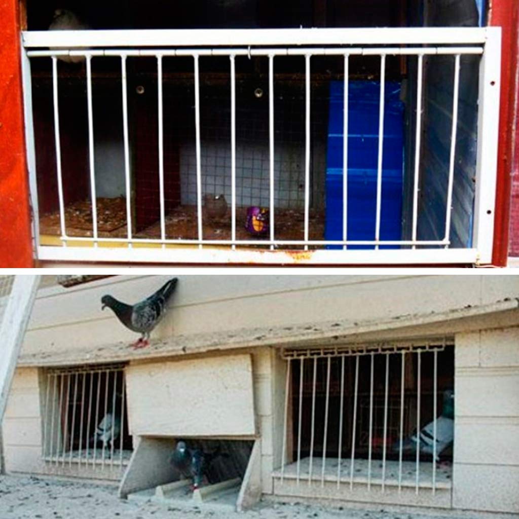 NABIAN Pigeon Trap Door - Heavy Duty Wire Bars Frame Entrance with Catch Bar for Racing Birds & Loft Supplies | Perfect for Pigeon Racing, Breeding & Training | Easy Installation & Durable Design