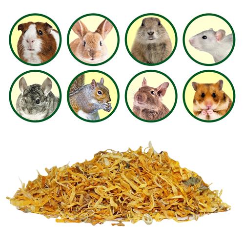 Premium Chinchilla Treat Sampler - Natural, Healthy Snacks for Small Pets - Perfect for Training, Bonding & Rewarding Your Furry Friend at Home or Travel