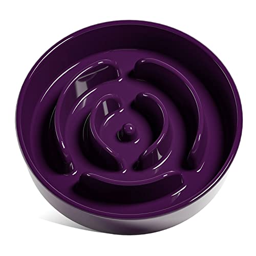 Maze Purple