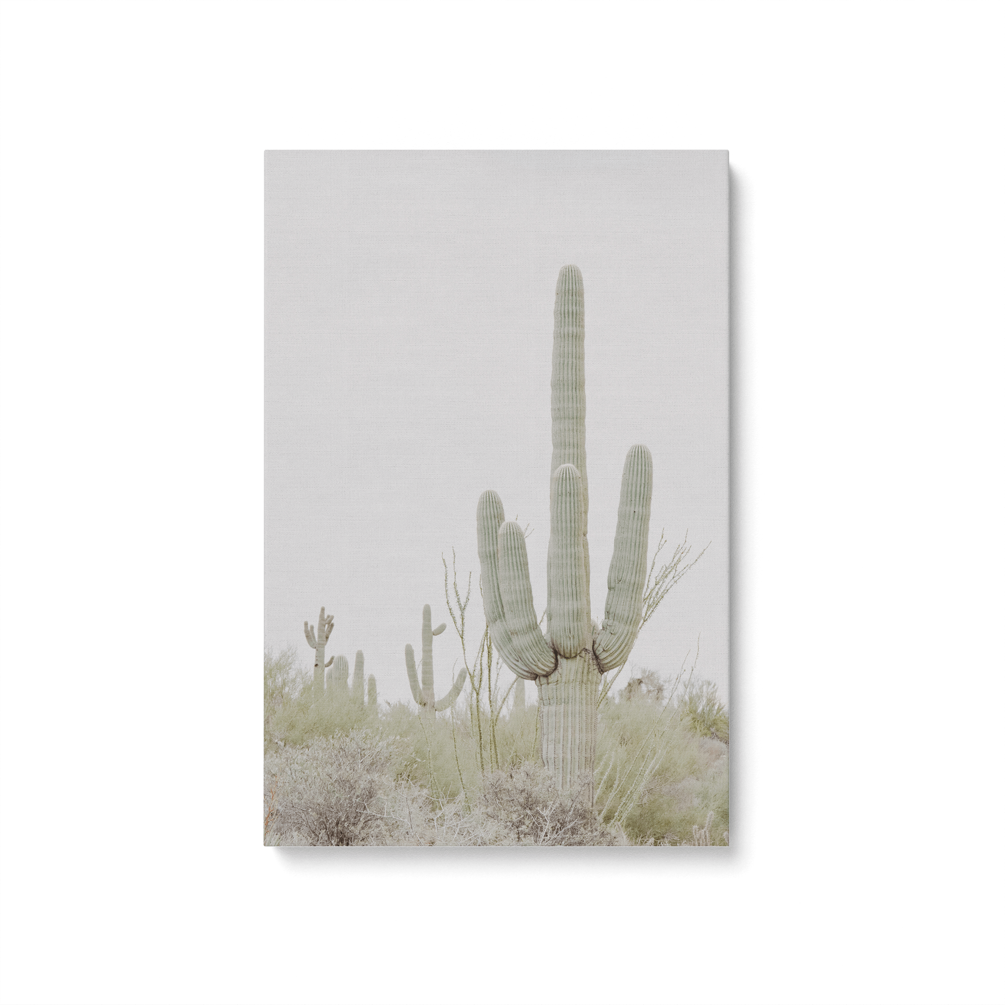 Desert Cactus Wall Art - Hand Painted Canvas Print for Home & Office Decor - Perfect for Living Room, Bedroom, or Southwestern Style Interior Design