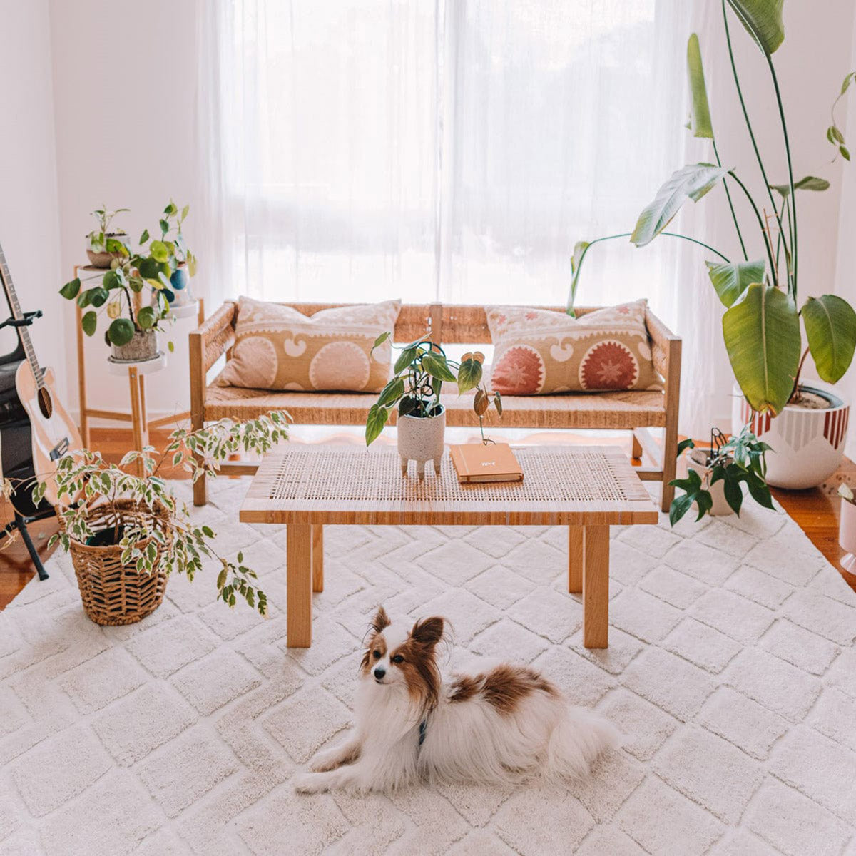 Luxury GIA Certified Diamond Tribal PET Shag Rug - Soft & Plush Eco-Friendly Faux Fur Carpet for Living Room, Bedroom, Nursery - Perfect for Cozy Home Decor & Pet-Friendly Spaces