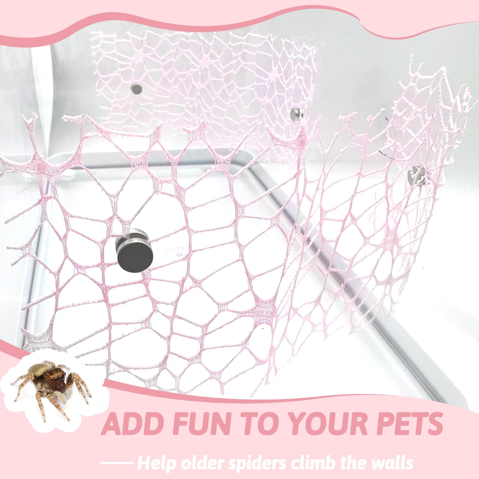 4 Pcs Jumping Spider Habitat Accessories with Magnets - Functional & Stylish Enclosure Décor for Pet Spiders | Perfect for Terrarium, Home Decor, and Educational Display (Pink)