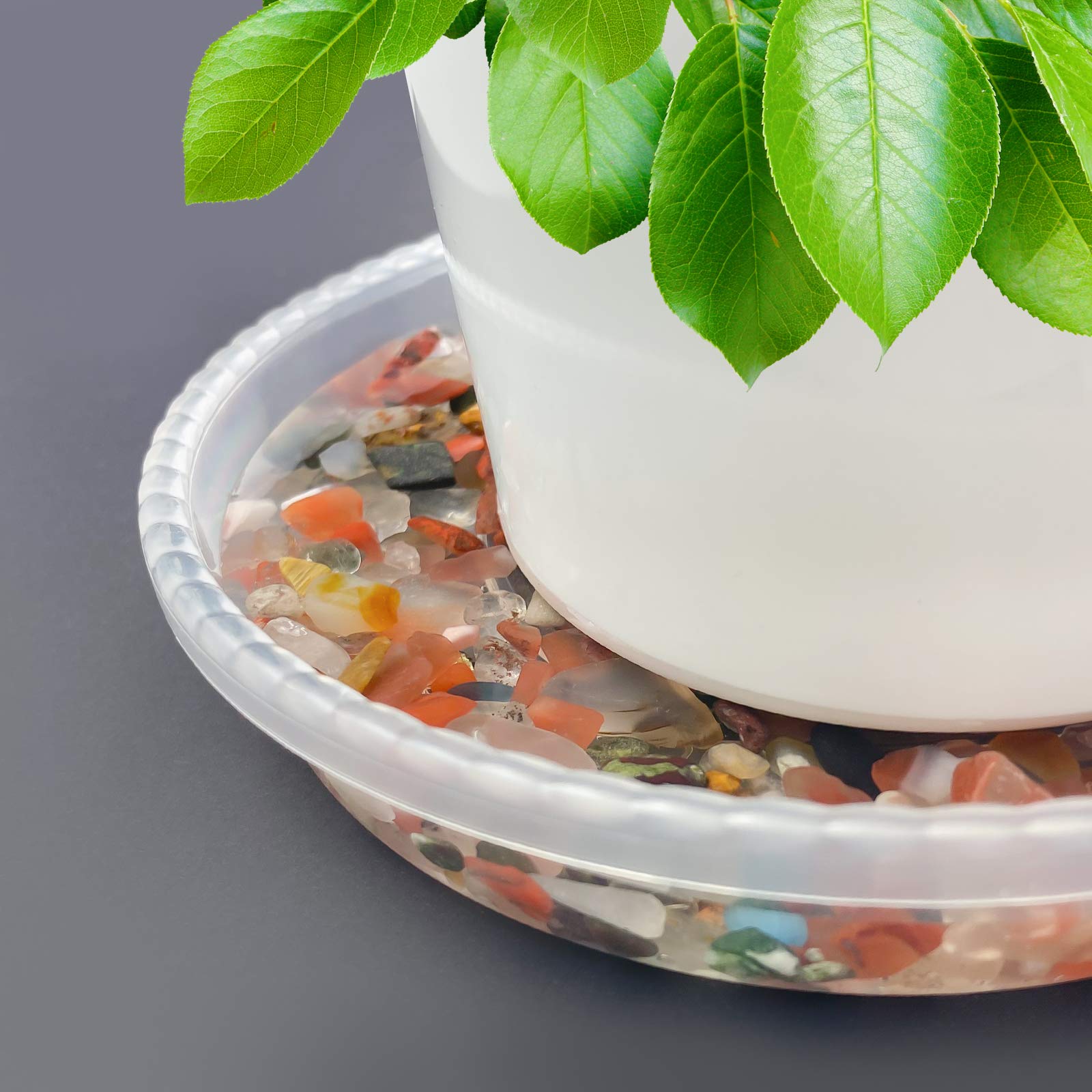 6 Inch Clear Plastic Plant Saucers - 6 Pack Thick Drip Trays for Indoor Flower Pots, No Holes - Perfect for Houseplants, Potted Plants & Plant Stand Protection