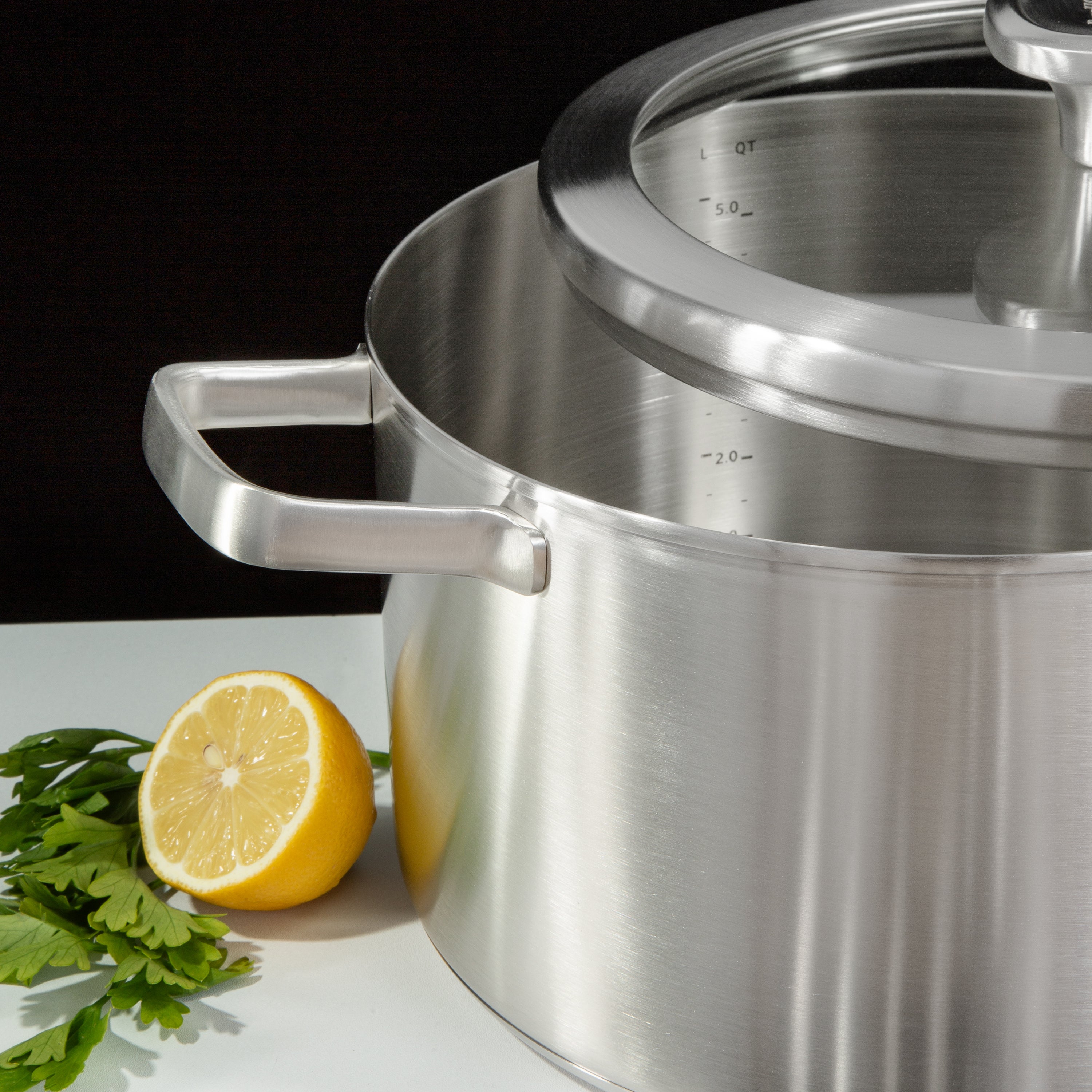 BergHOFF Leo Graphite 4-Piece Cookware Set with Glass Lids | Recycled 18/10 Stainless Steel Pots & Pans | Non-Stick Induction Compatible for Everyday Cooking & Entertaining
