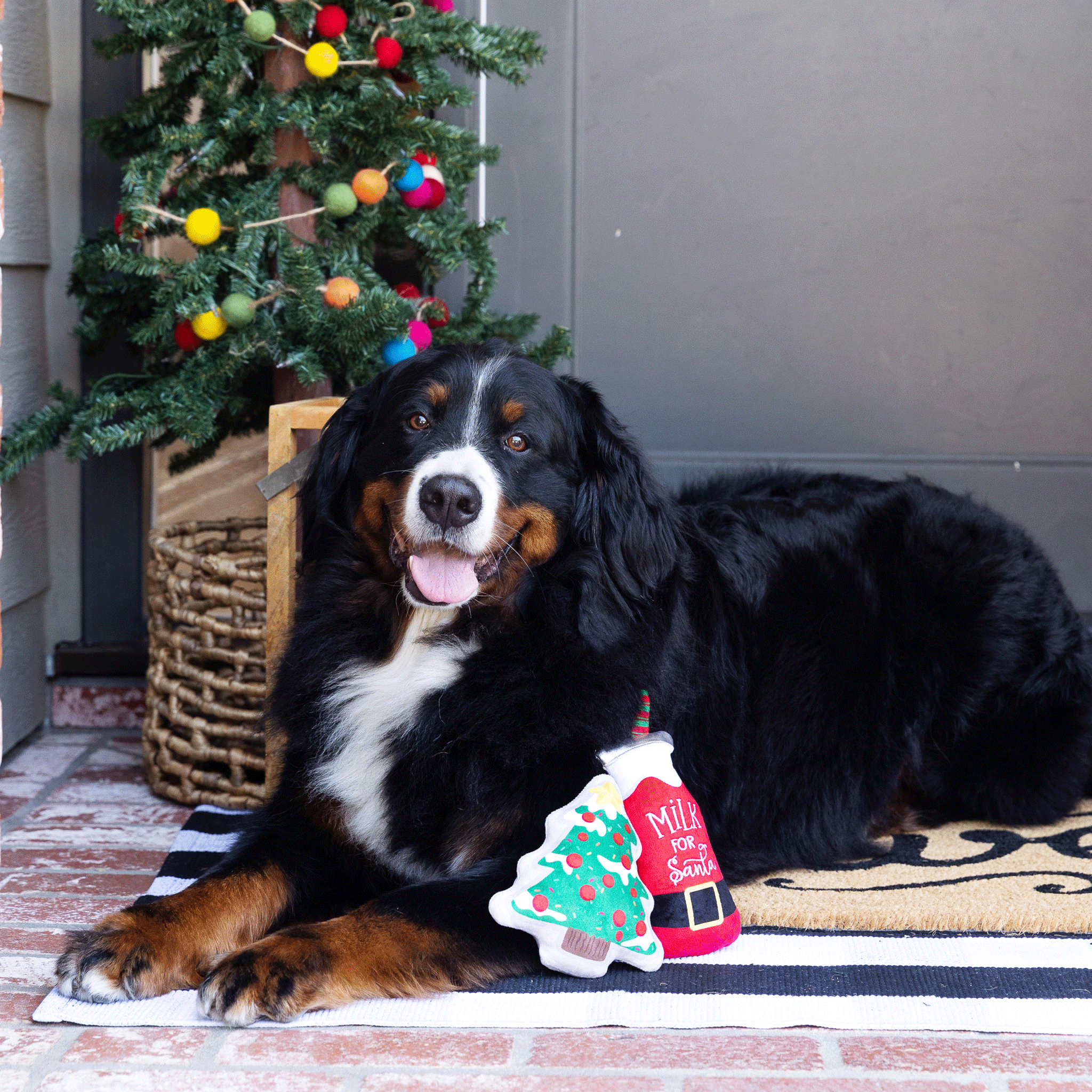 Festive Fringe Santa Dog Toy - Red & Green Chew Toy for Small & Large Dogs - Perfect for Christmas Playtime & Holiday Gifts