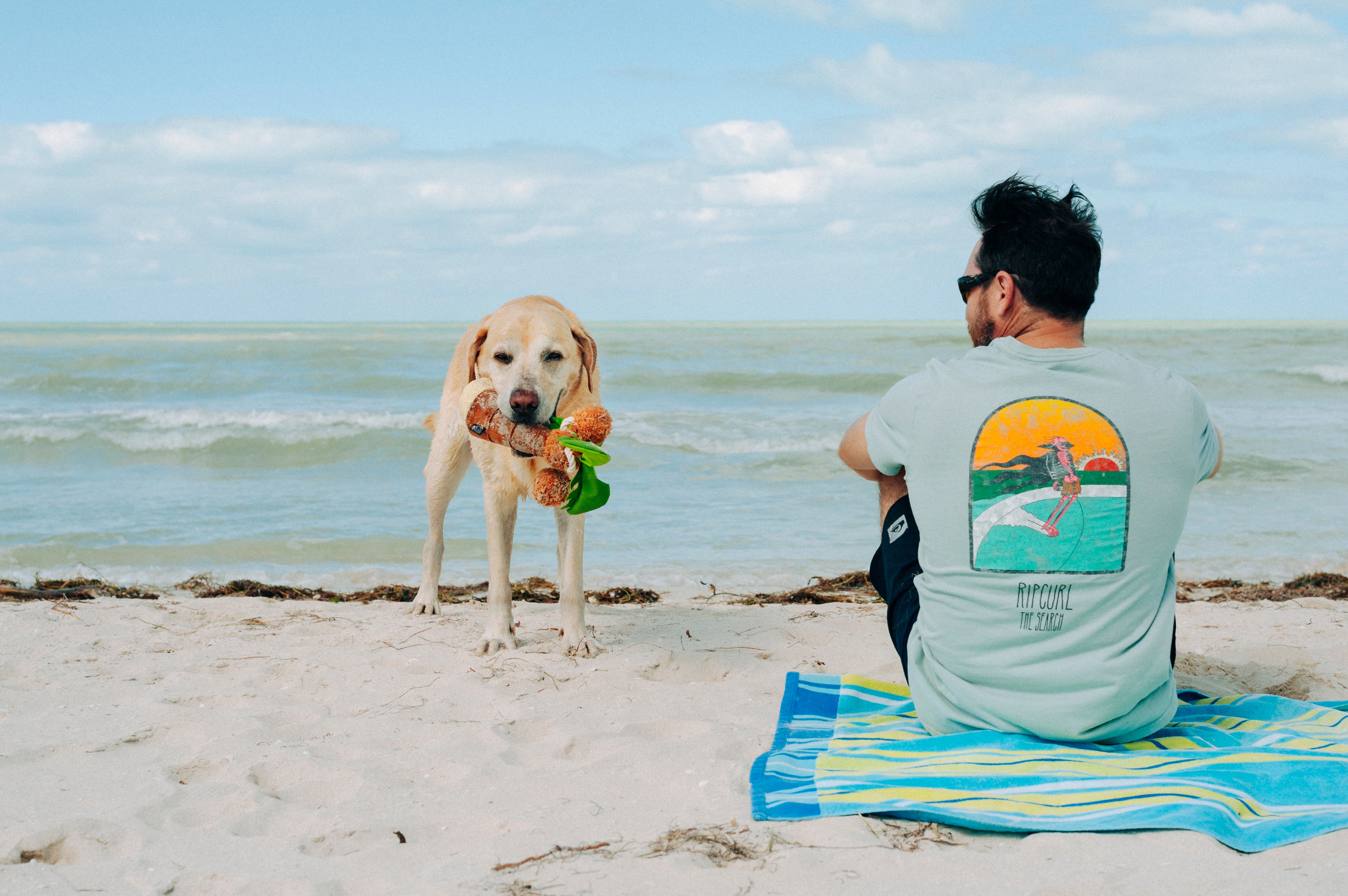 Tropical Paradise™ Dog Plush Toy - La Palma Soft Chew Toy for Dogs | Durable & Safe Pet Play | Perfect for Indoor & Outdoor Playtime