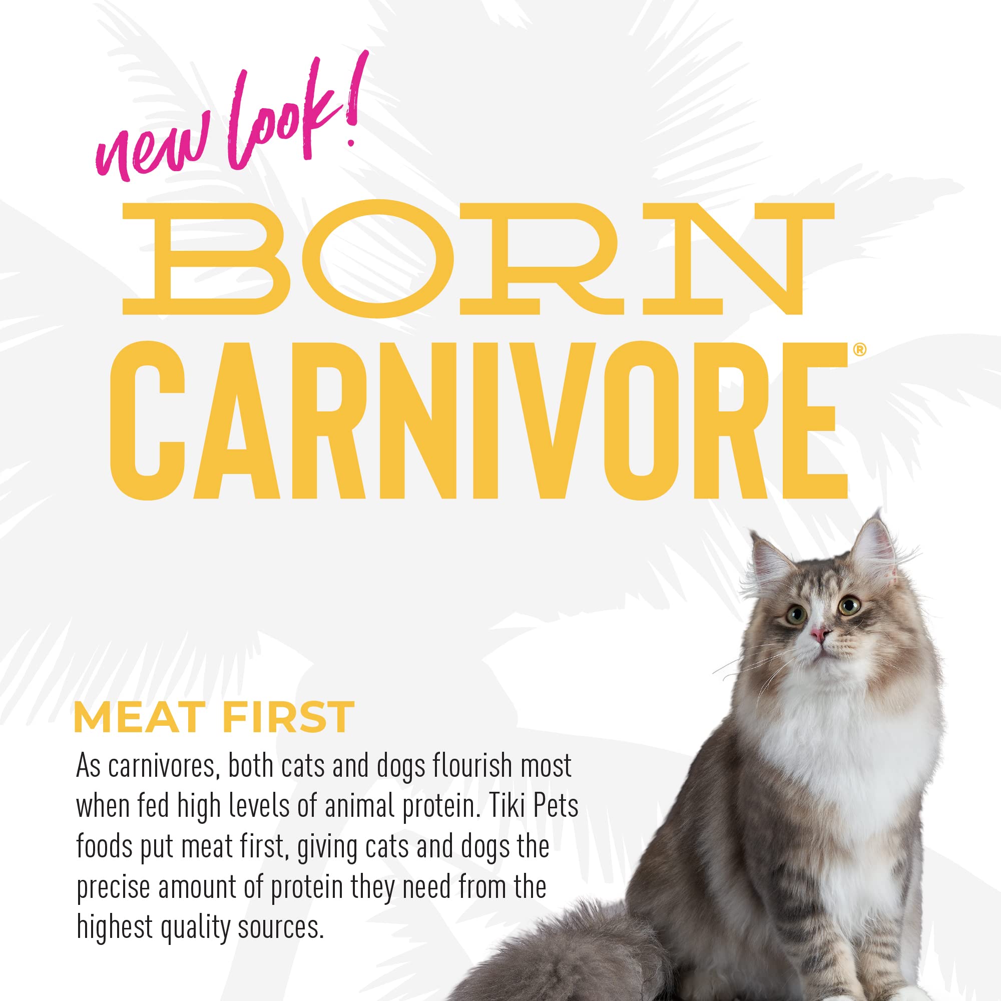 Tiki Cat Born Carnivore High Protein Dry Cat Food - Grain-Free Baked Kibble with Chicken & Turkey Meal Recipe for Indoor Cats - 3 lb Bag - Supports Healthy Digestion & Shiny Coat for Your Feline Friend
