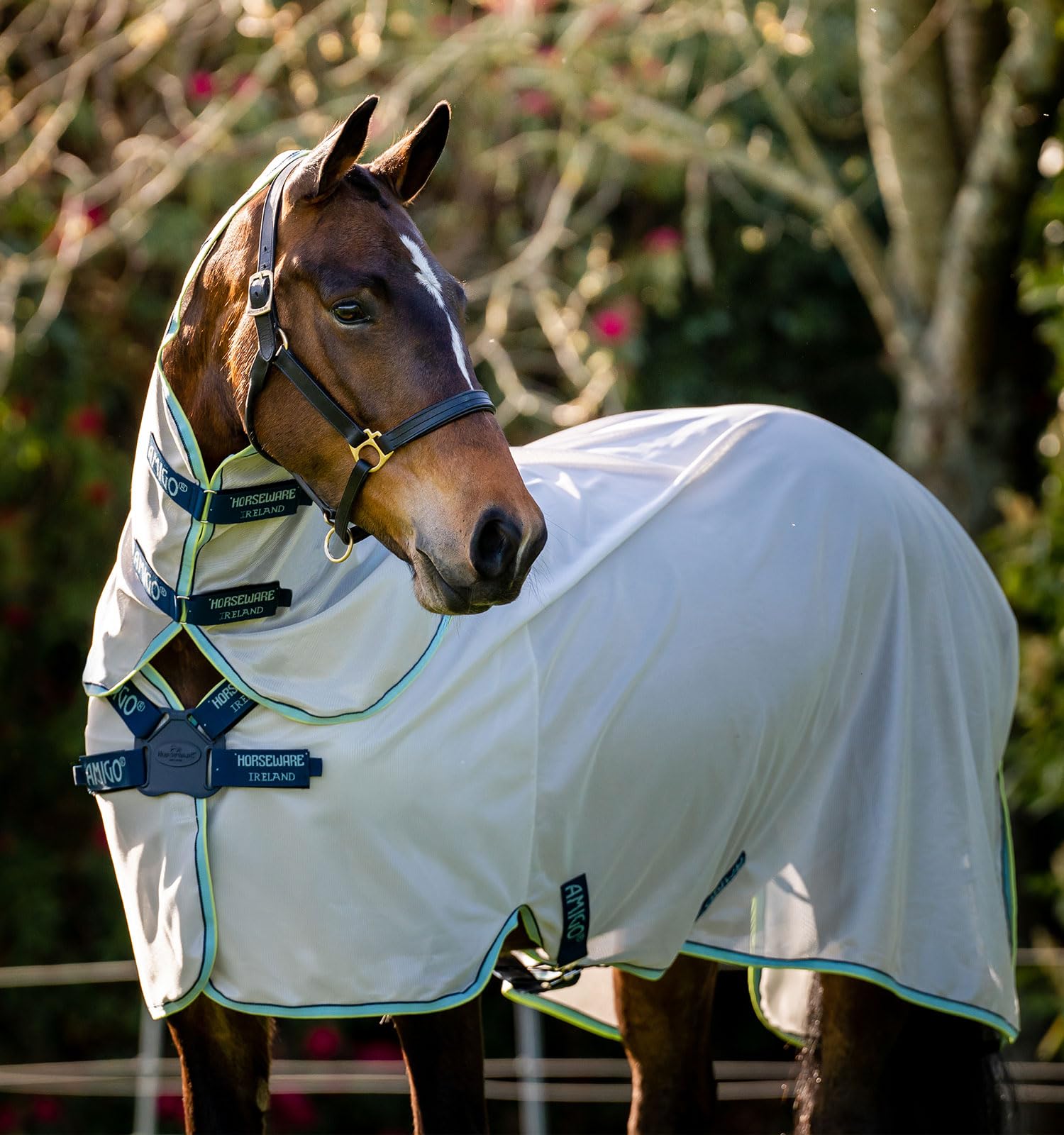 Horseware® Amigo® XL Bug Rug Fly Sheet with Disc Front Closure - Lightweight 0g Protection for Horses - Ideal for Summer Riding, Pasture, and Fly Control