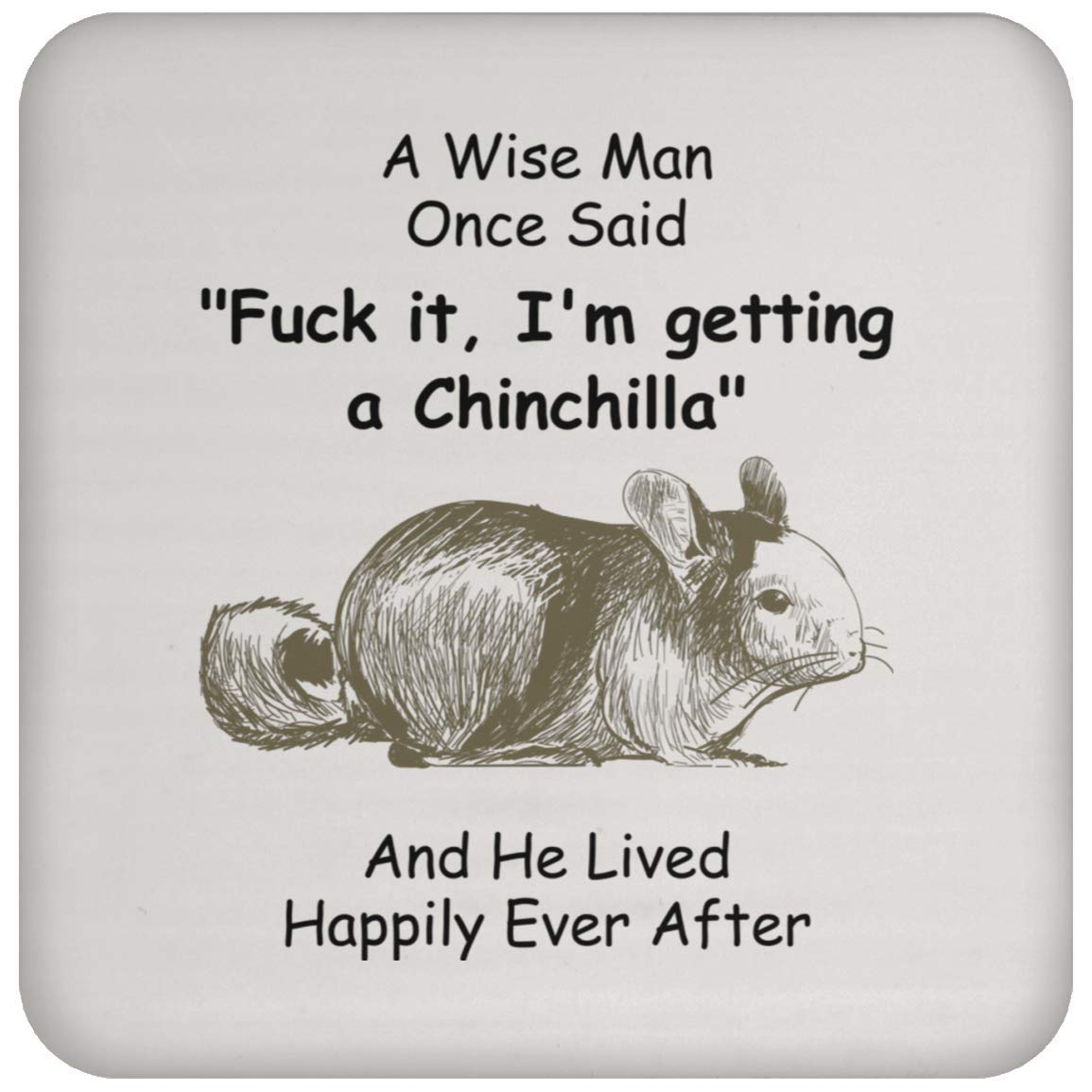 Funny Chinchilla Coaster Set - Unique Christmas Gifts for Men 2022 - Cute Animal Drink Coasters for Home Bar, Office Desk & Party Decor