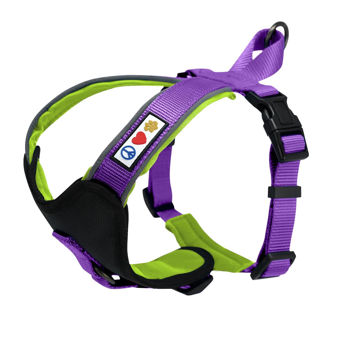 Pawtitas Small Dog Harness, Collar & Leash Set - Purple Padded Pet Walking Accessories for Small Breeds | Perfect for Daily Walks, Training & Outdoor Adventures