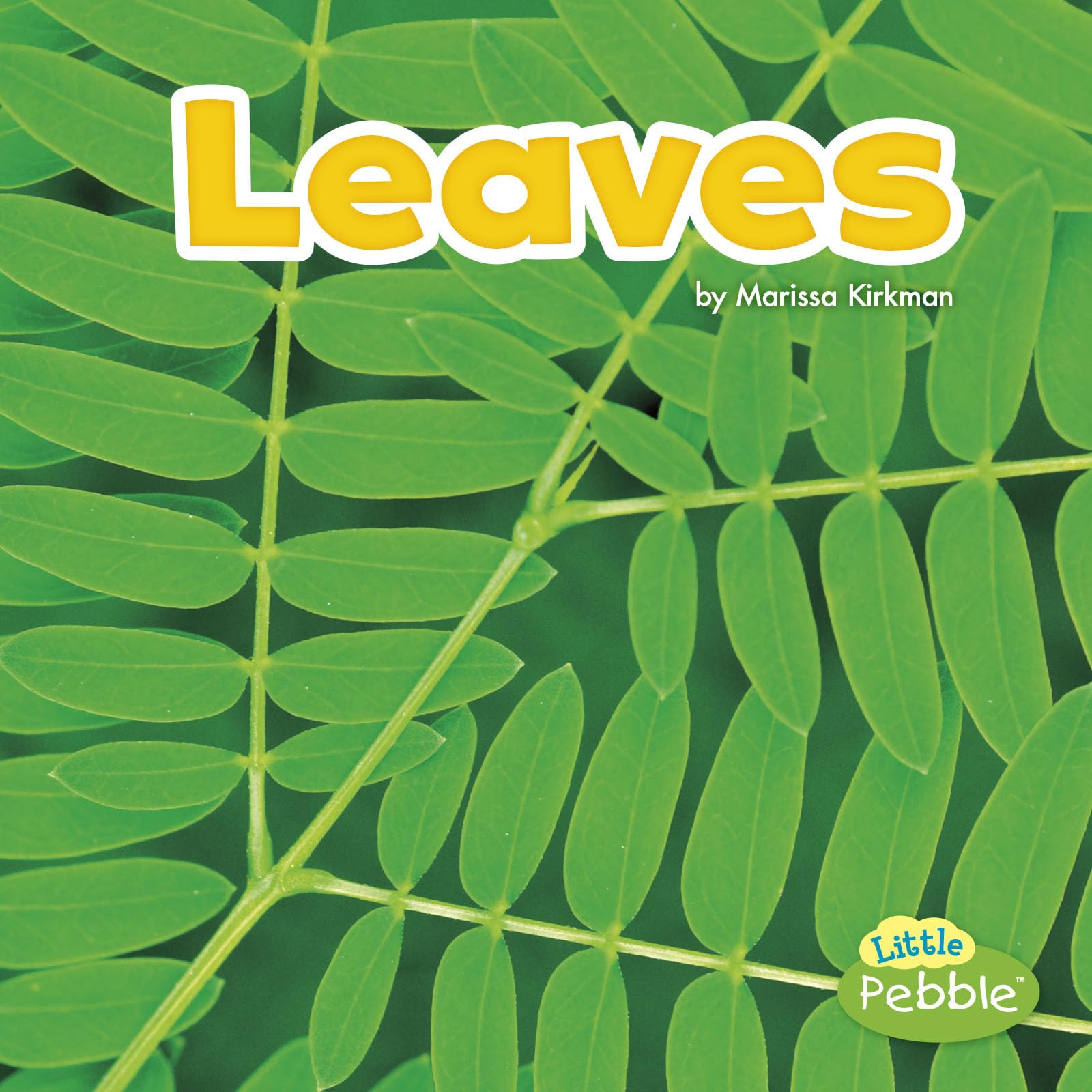 Leaves (Plant Parts) - Essential for Photosynthesis, Gardening & Education | Perfect for Botany Studies, Home Gardens & Classroom Learning