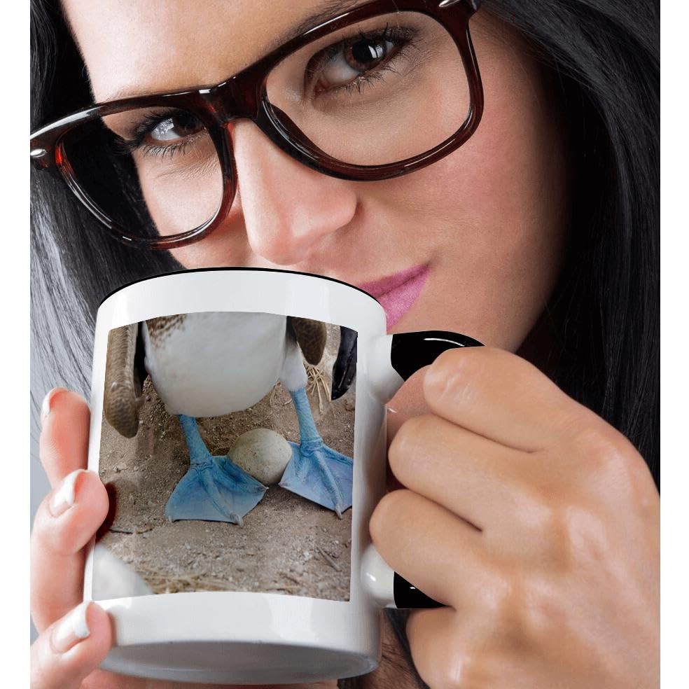 3D Printed Blue-Footed Booby Galapagos Mug - 11oz Two-Tone Ceramic Coffee Cup with Ecuadorian Wildlife Design - Perfect for Nature Lovers, Birdwatchers & Travel Enthusiasts - Great Gift for Home, Office or Outdoor Use