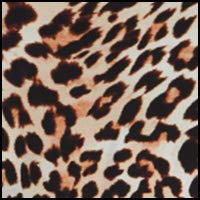 Wild Things Leopard