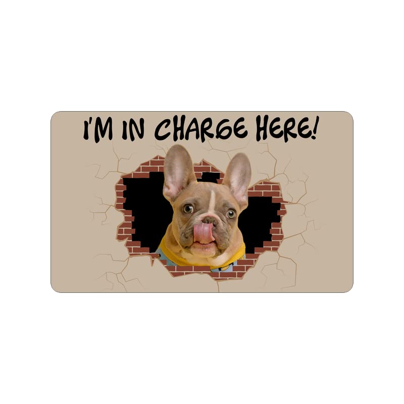 Personalized Dog Welcome Mat - 'I'm in Charge Here' Custom Doormat for Indoor & Outdoor Use - Non-Slip Entryway Rug for High Traffic Areas, Patio & Front Door - Perfect for Pet Lovers & Home Decor