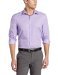 Crocus-43hw5029