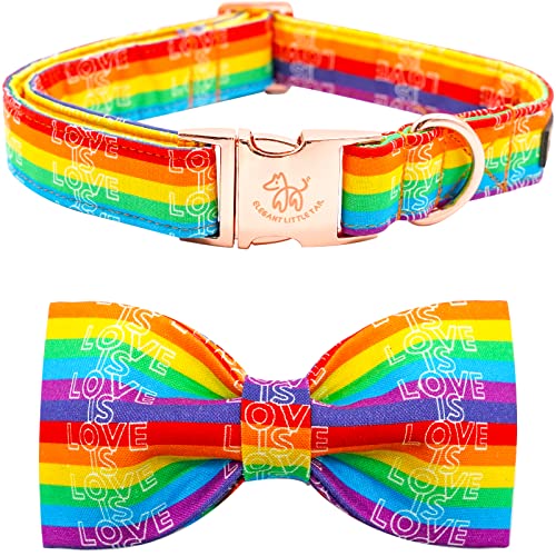 Rainbow Love