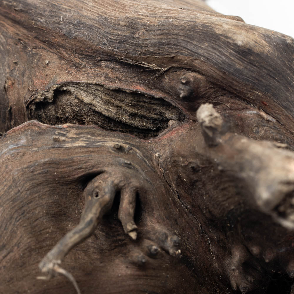 Premium Black Forest Spider Wood for Aquariums & Terrariums - Natural Driftwood Decor for Fish Tanks, Reptile Habitats & Home Décor