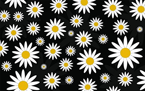 Daisies