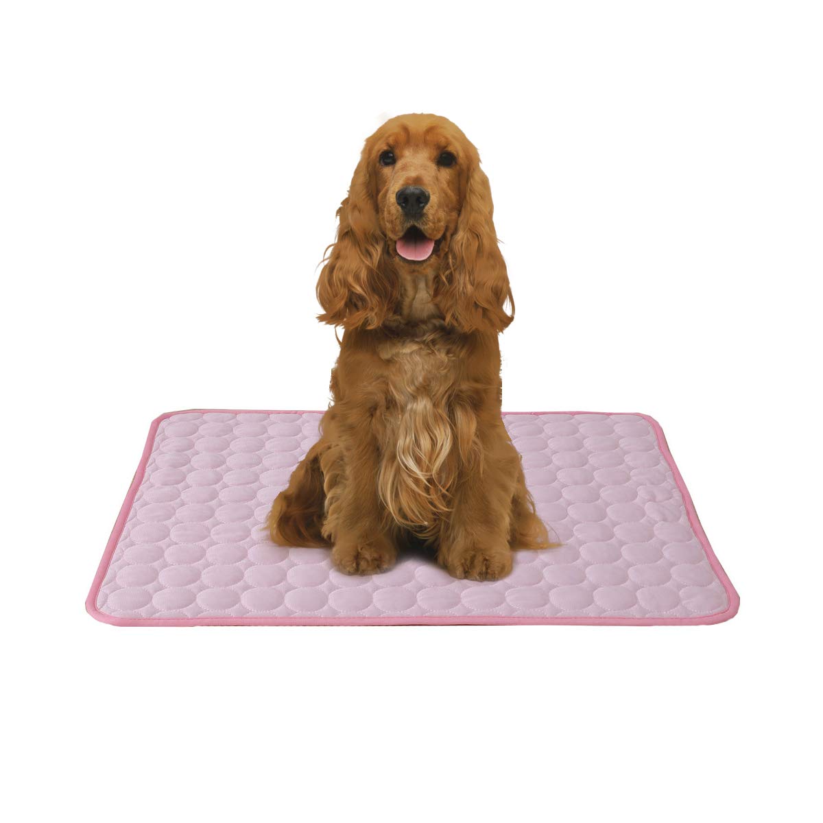Premium Pet Cooling Mat for Dogs & Cats - Summer Cooling Pad for Pet Crates, Kennels & Beds - Stay Cool & Comfortable in Hot Weather - Ideal for Indoor & Outdoor Use
