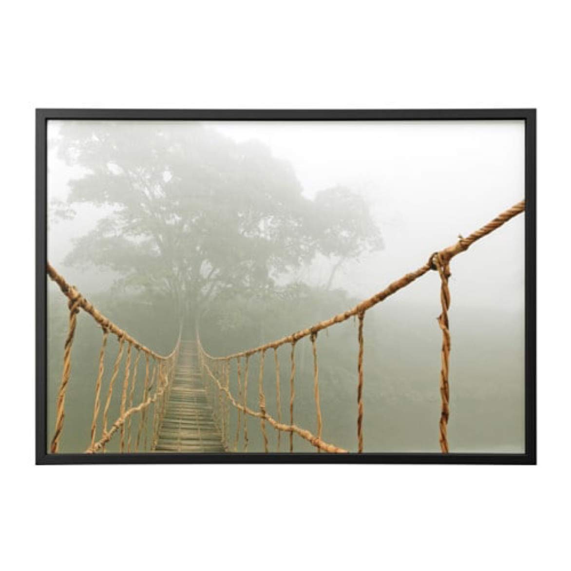 IKEA Bjorksta 55x39 ¼ Inch Black Picture Frame - Jungle Journey Artwork Display for Wall Decor | Perfect for Living Room, Bedroom & Office