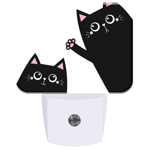 Cute Black Cat