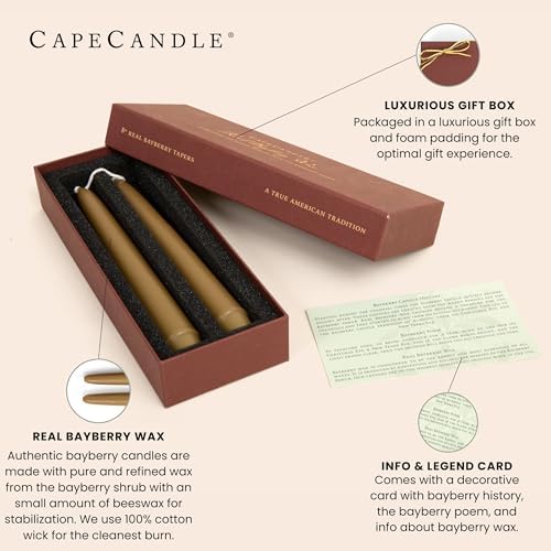 Bayberry Taper Candles 8