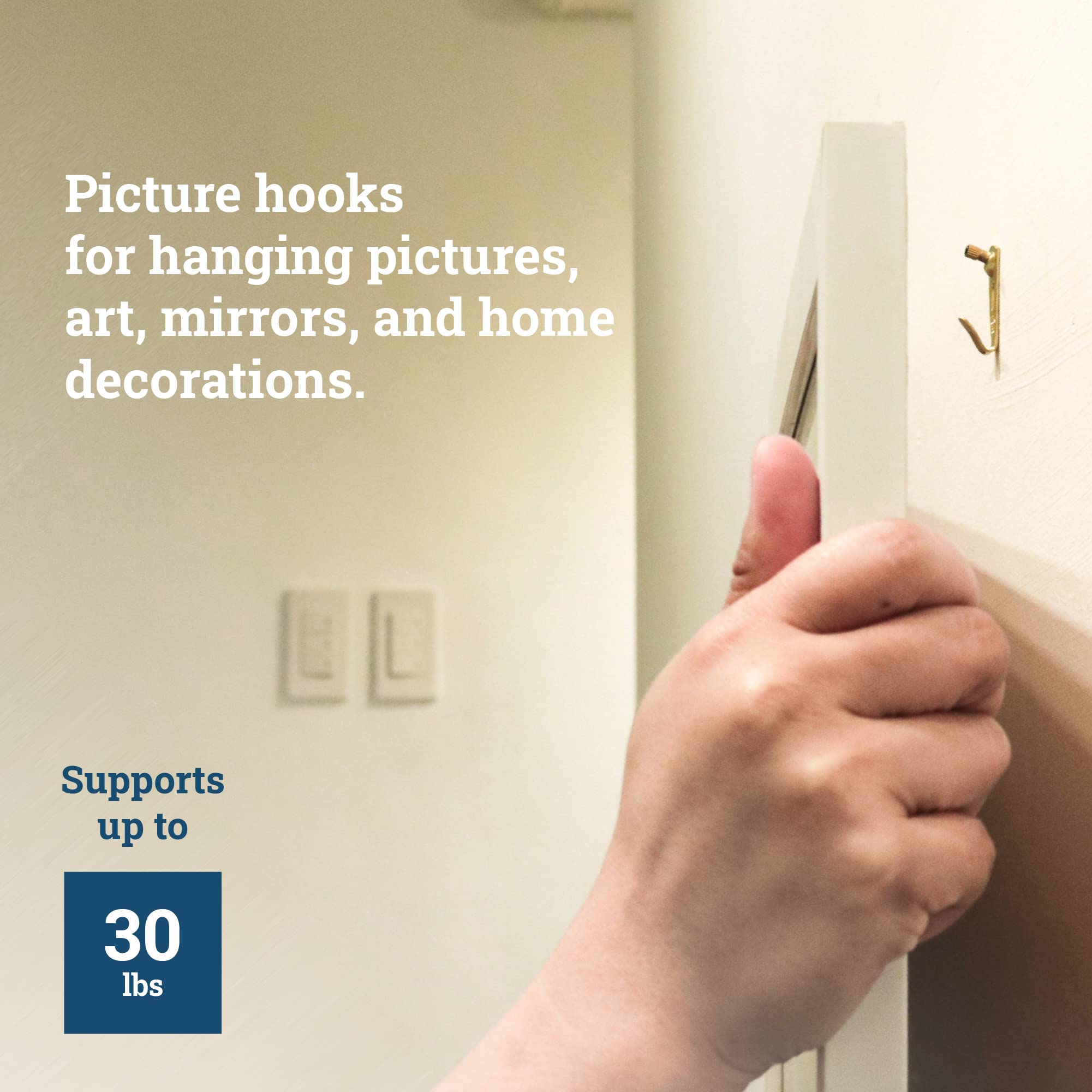 25 Pack Heavy Duty Plaster Picture Hangers - 30 lbs Capacity Wall Hooks for Picture Frames & Mirrors - Perfect for Home Decor, Gallery Walls & Office Displays