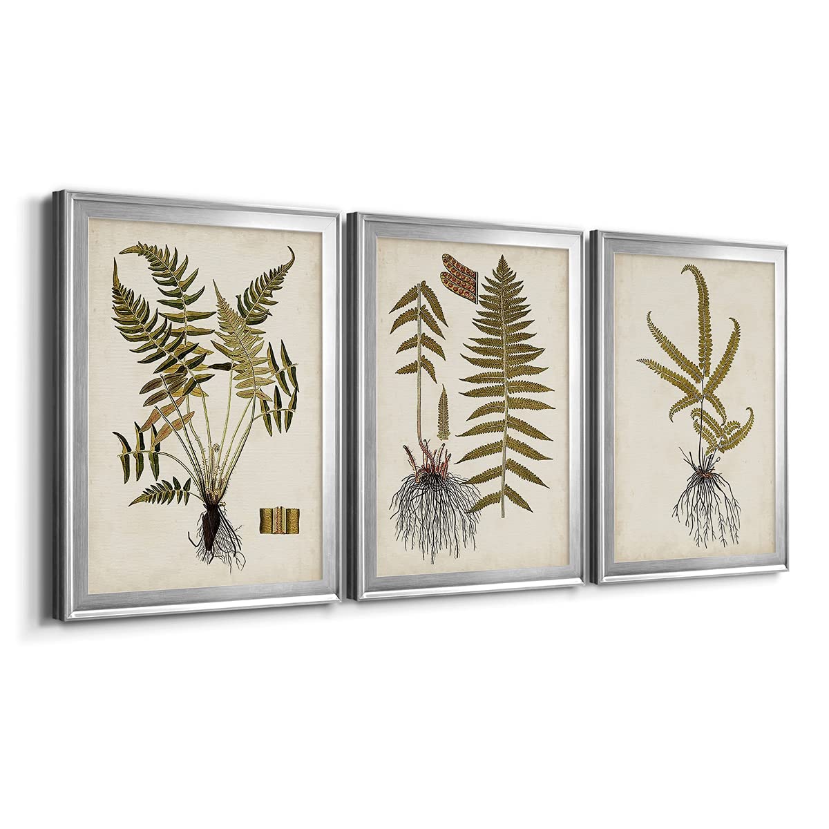 Renditions Gallery Wall Art Set - 3 Piece Silver Framed Canvas with Animals, Floral & Fern Botanical Designs - Modern Kitchen Décor & Eclectic Home Decor - 22x30 Inches Each Panel - Perfect for Living Room, Bedroom & Office Wall Decor