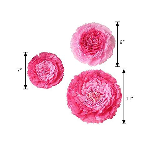 6-Pack Giant Fuchsia & Pink Peony Tissue Paper Flowers (7/9/11 Inch) - Wedding Backdrop, Party Decorations, Baby Shower, Bridal Shower, Home Wall Decor