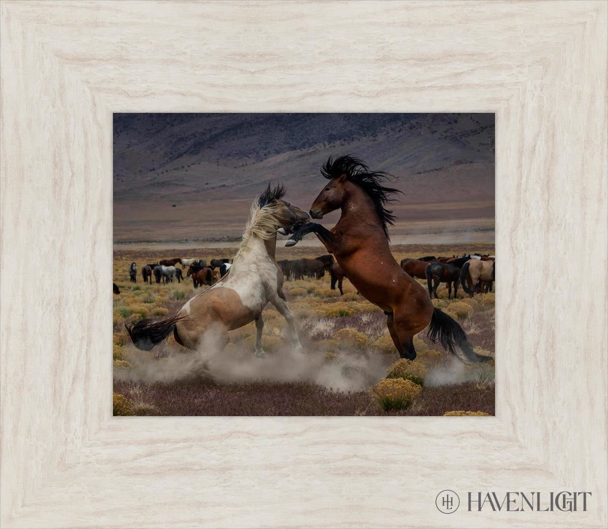 Desert Duel 5 by Greg Sargent - Western Action Novel - Perfect for Book Clubs & Cowboy Adventure Fans