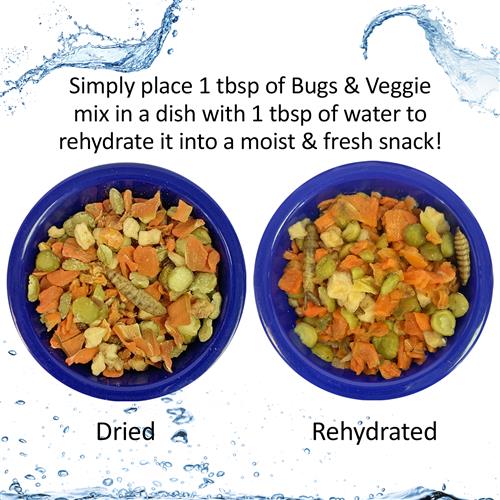Complete Hedgehog Starter Kit - Essential Supplies for Pet Hedgehogs | Includes Cage, Food, Bedding & More | Perfect for Hedgehog Care & Habitat Setup
