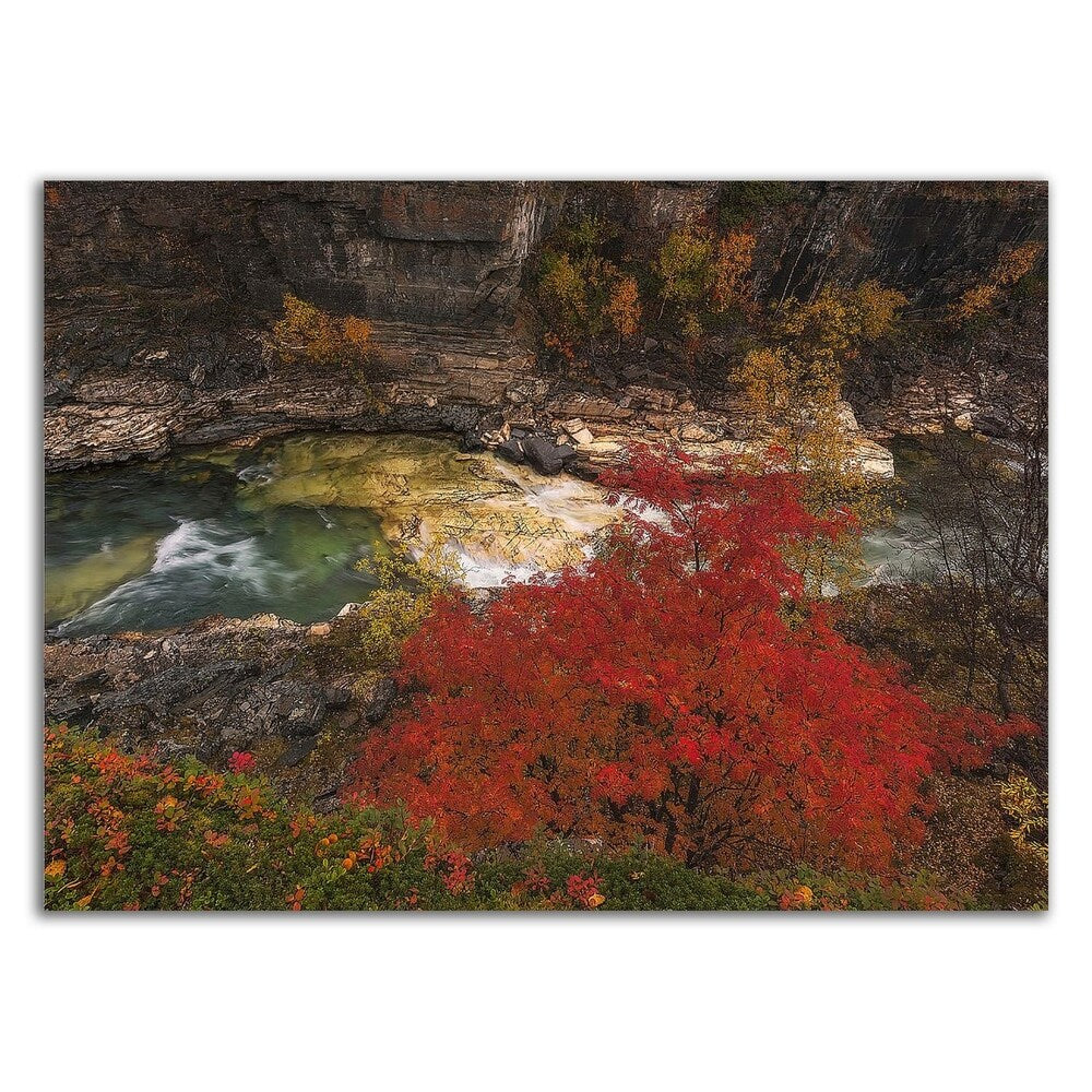 Abisko Mountain Ash by Hans Logren - Premium Canvas Wall Art Print - Ready to Hang - Perfect for Living Room, Bedroom & Office Decor