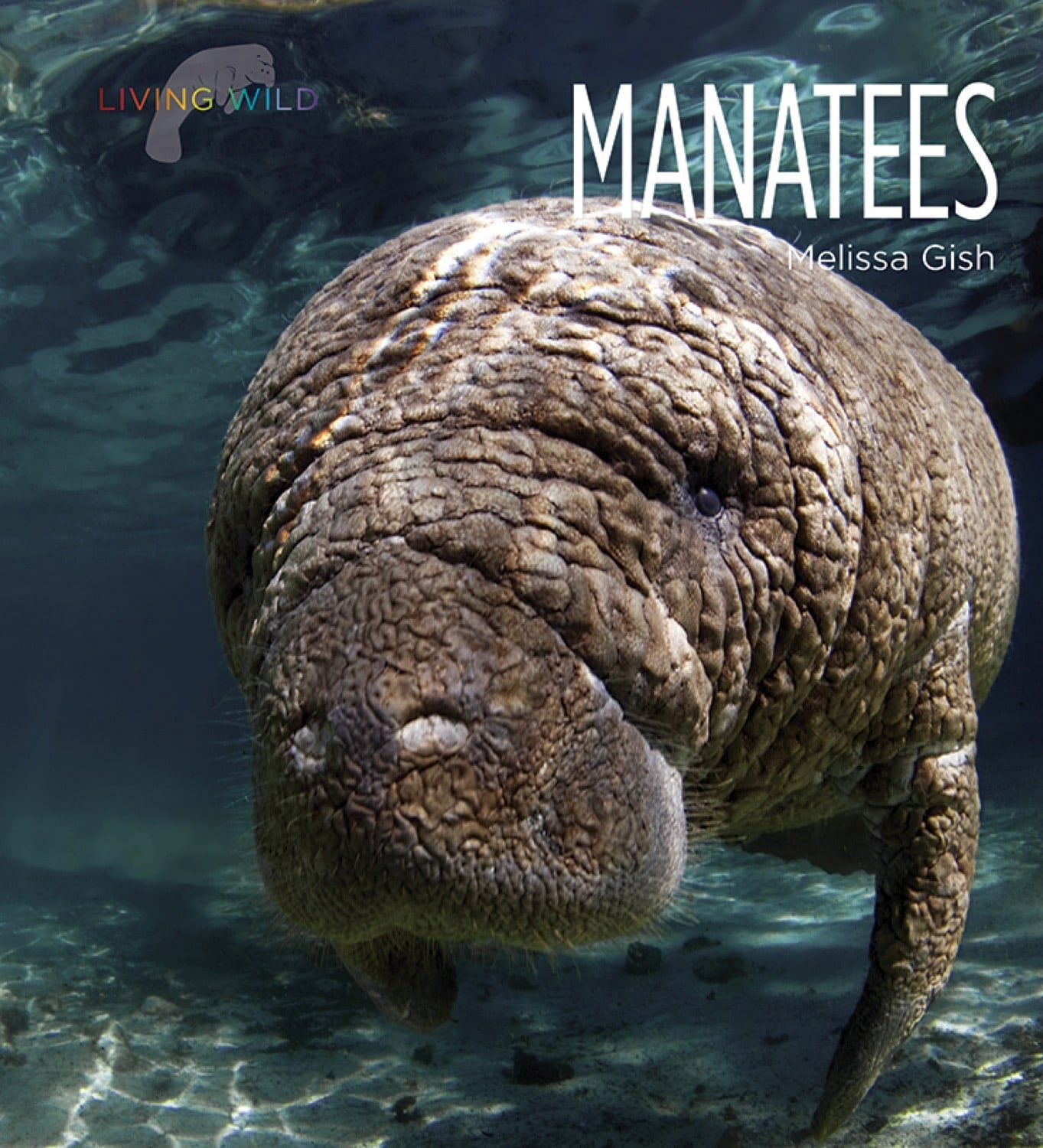 Manatees Book - ISBN 9781608187058 - Perfect for Marine Life Enthusiasts & Educational Use