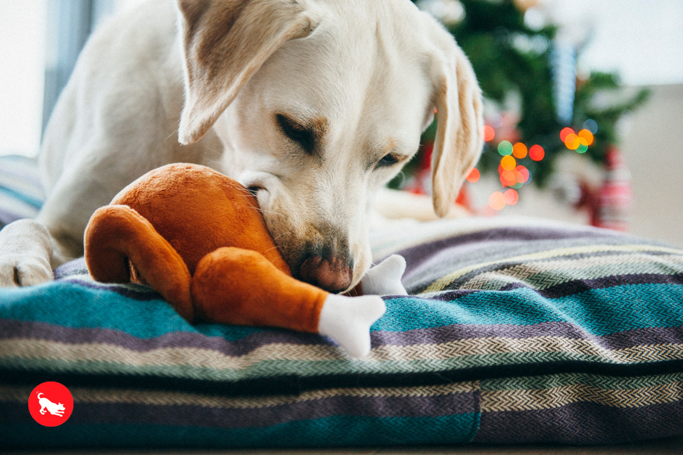 El Pavo Entero Holiday Classic™ Dog Plush Toy - Soft & Durable Chew Toy for Small & Large Dogs | Perfect for Thanksgiving, Christmas & Playtime Fun | Pet P.L.A.Y.