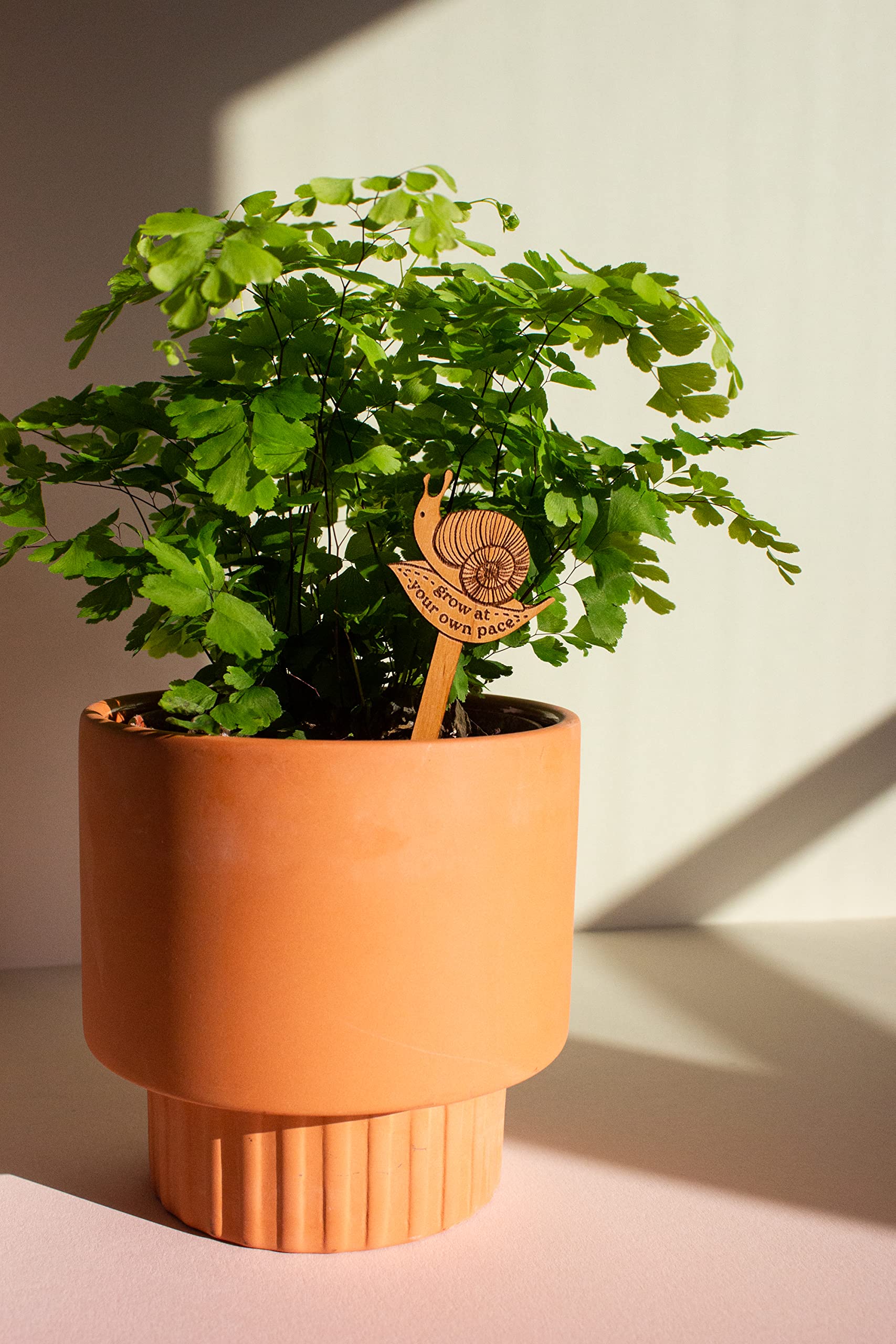 Uplifting Wood Plant Pick Bundle - Encouraging Houseplant Gifts for Women, Plant Lovers & Birthday Presents - Perfect for Home Decor, Office Desk & Indoor Gardening Enthusiasts