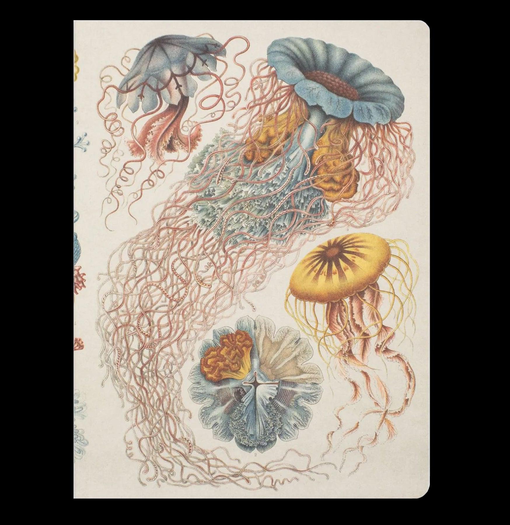 Haeckel Jellyfish Softcover Dot Grid Notebook - Premium A5 Journal for Bullet Journaling, Sketching & Note Taking - Perfect for Students, Artists & Office Use
