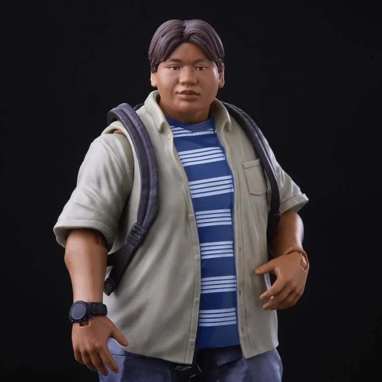 Marvel Legends Spider-Man: Homecoming Action Figures - Peter Parker & Ned Leeds 2-Pack Set for Collectors, Superhero Fans, and Gift Giving