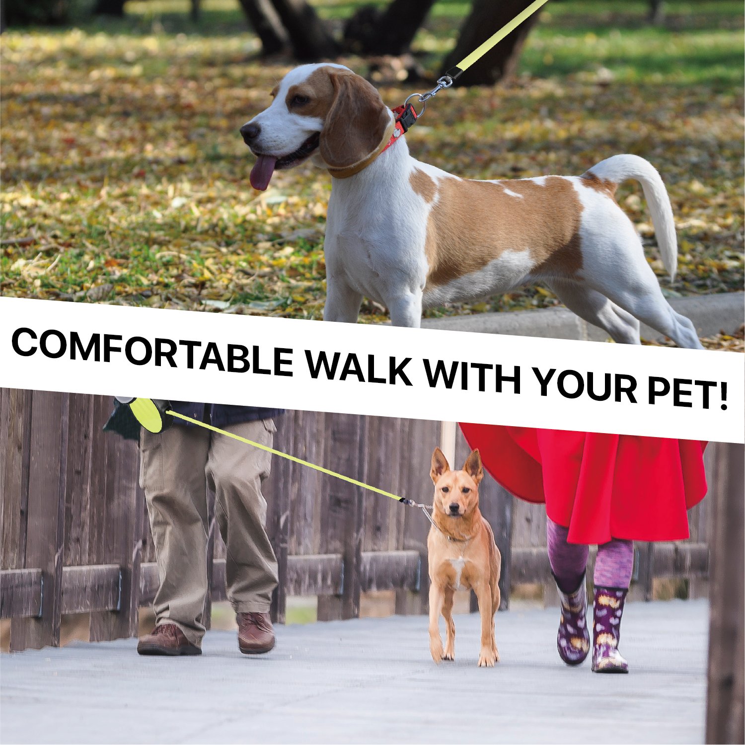 **Flexzion 16ft Retractable Dog Leash for Small & Medium Dogs - Heavy Duty Anti-Tangle Reflective Extendable Leash with Lock Button, Neon Green & Black - Perfect for Night Walks & Outdoor Safety**    *(Use Case: Ideal for evening walks, jogging, or hiking with your pet, ensuring visibility and control in low-light conditions.)*
