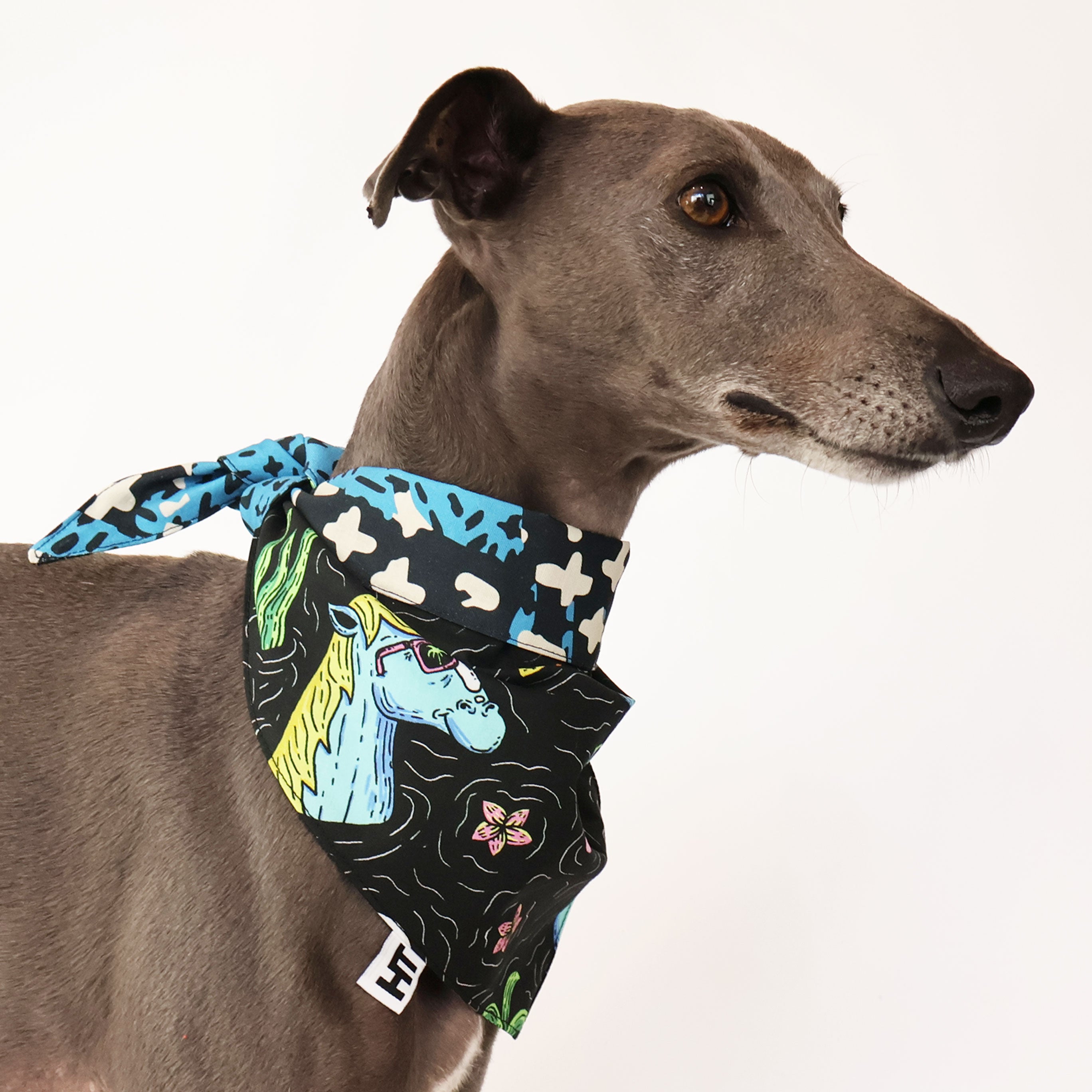 Swamp Party Bandana - Trendy & Comfortable Cotton Bandana for Outdoor Festivals, Concerts & Themed Parties - Perfect for Music Festivals, Raves & Costume Accessories