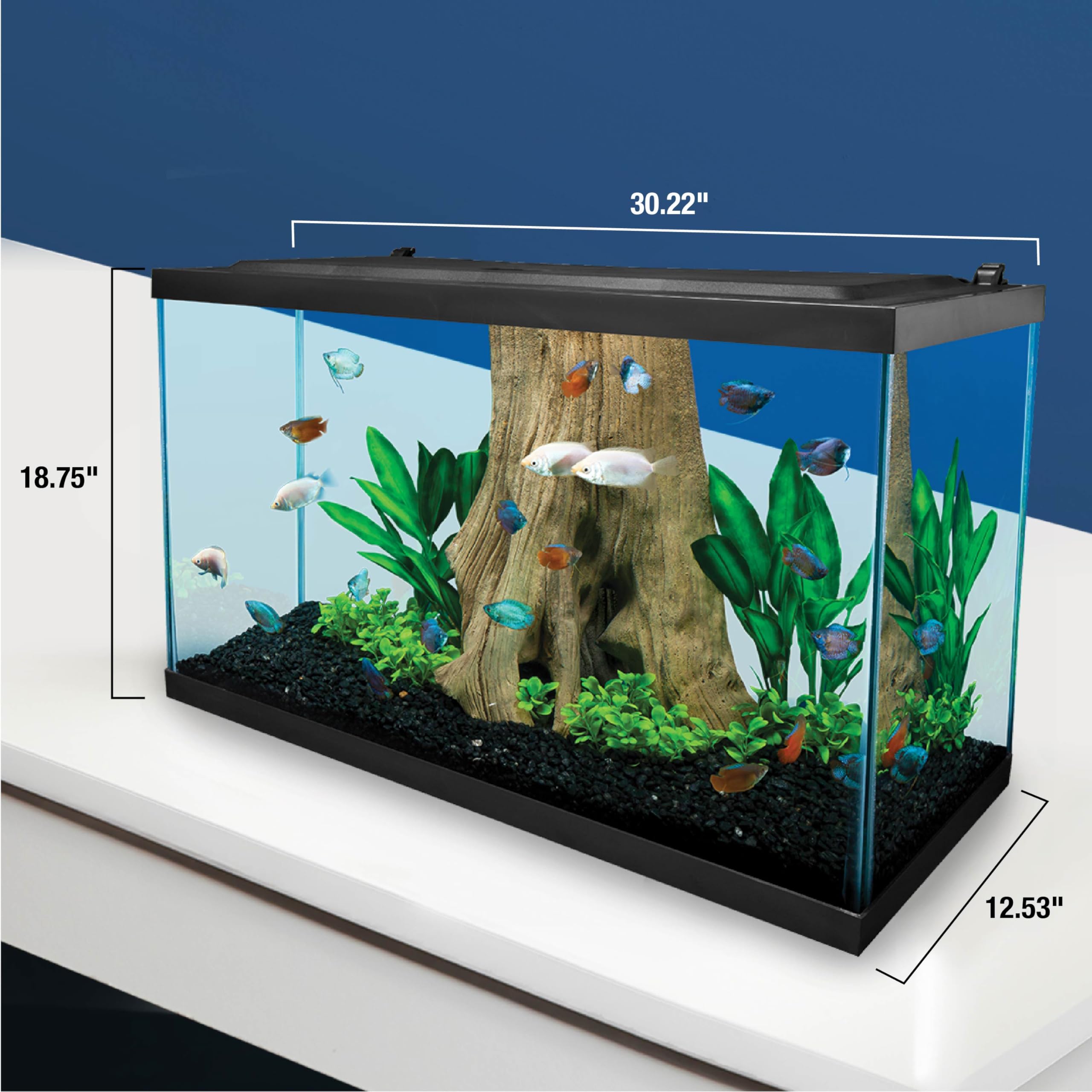 Tetra Complete LED Aquarium Kit 29 Gallon with LED Lighting, Filtration System, Heater & Accessories - Perfect for Home, Office or Classroom Fish Tank Setup