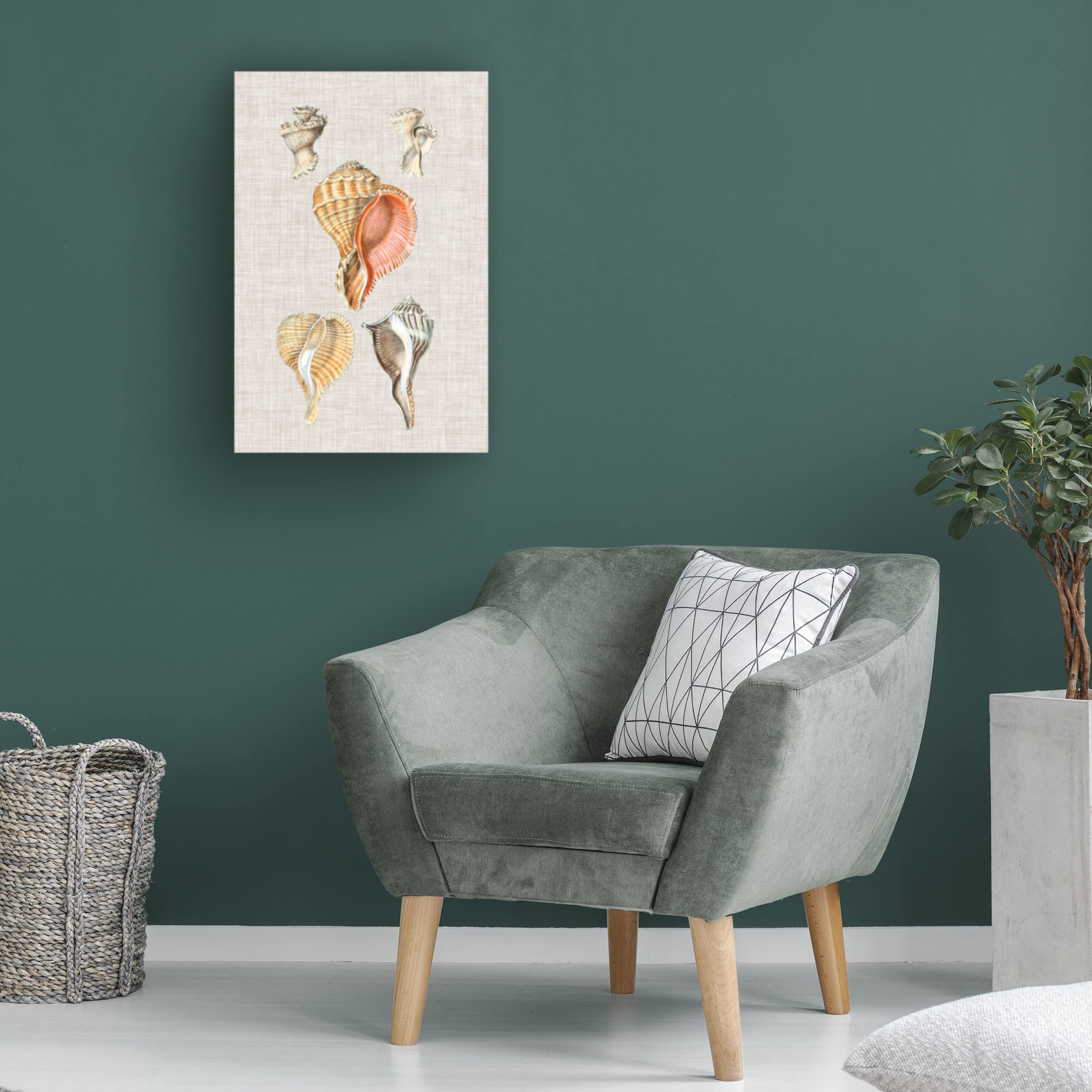 Trademark Fine Art 'Antique Shells on Linen VI' Canvas Wall Art Print by Vision Studio - Perfect for Beach House Decor, Coastal Living Room & Nautical Bathroom