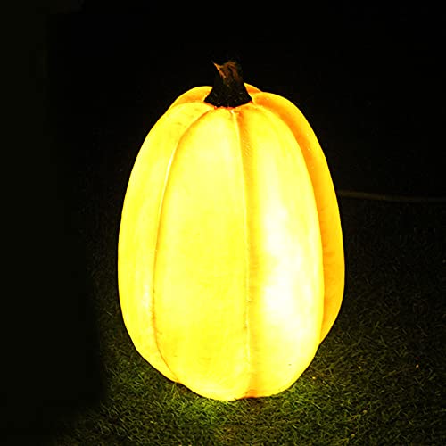 C-with Light