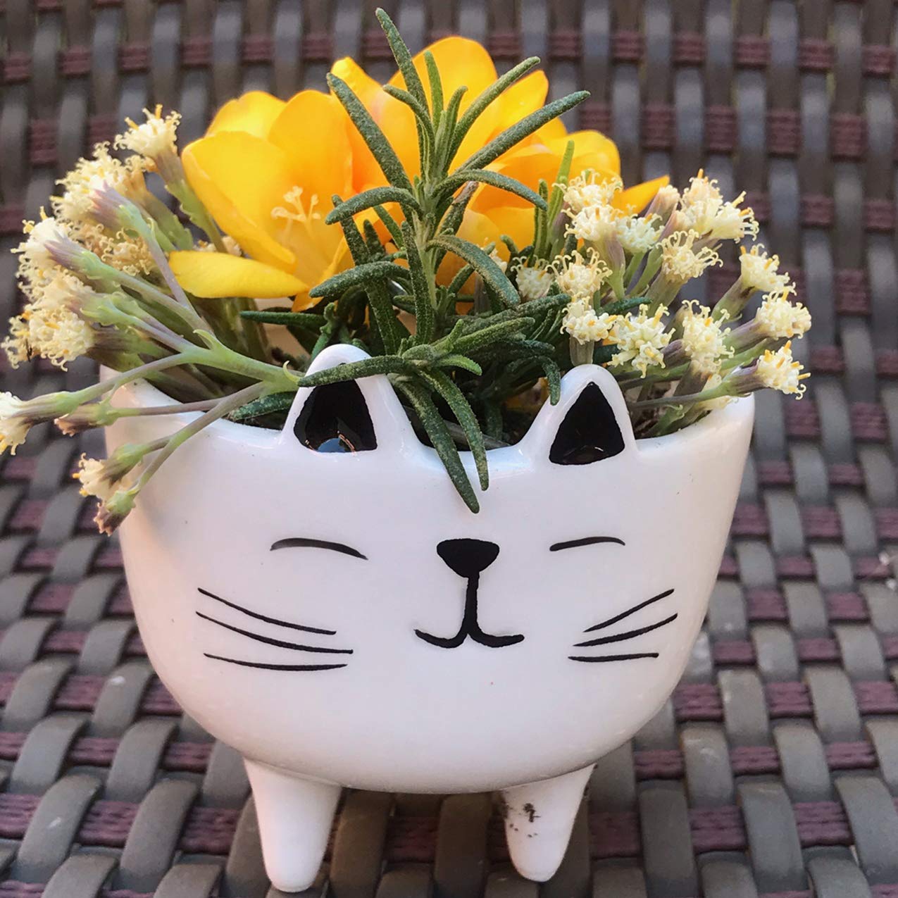 Ceramic Succulent Planter Pots - White Cat Mini Indoor Planters for Home, Office & Garden Decor | Perfect for Small Plants, Cacti & Air Plants