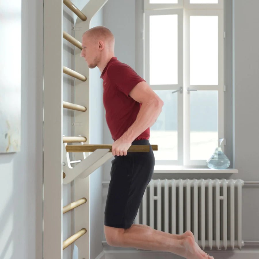 Classic Wall-Mounted Gym Equipment - Fitness Bundle for Home Workouts & Strength Training | Perfect for Small Spaces & Apartment Exercises