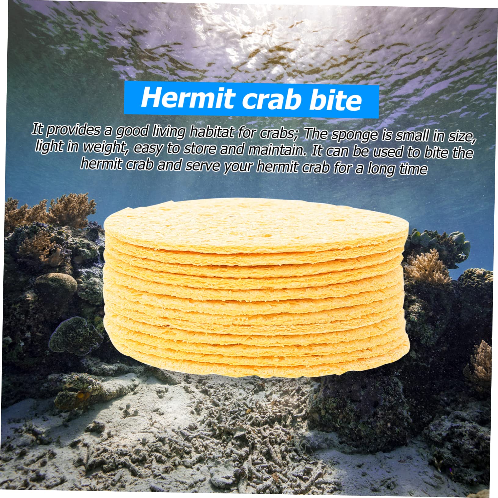 Premium Hermit Crab Cleaning & Drinking Sponges - 12 Pack Natural Safe Sponge Set for Pet Crab Habitat - Ideal for Terrarium, Cage & Tank Maintenance