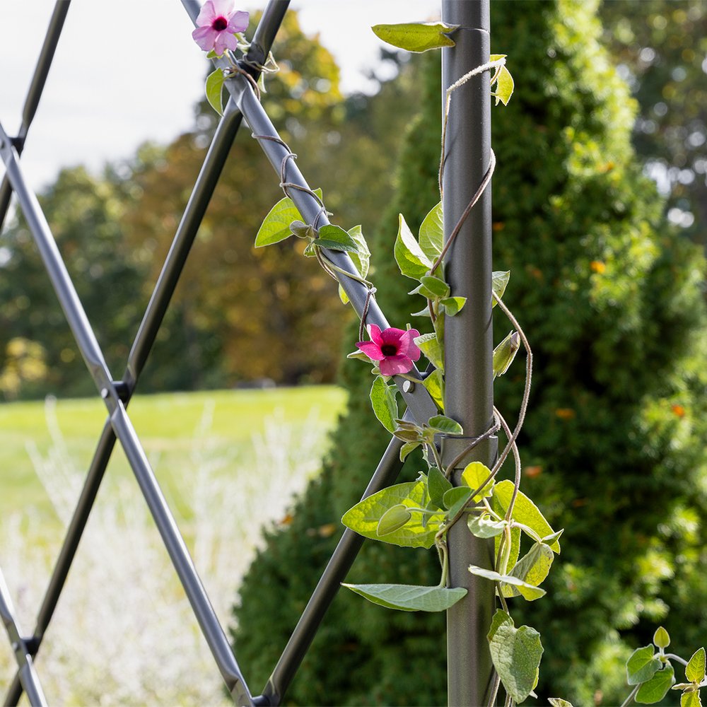 Achla Designs Lattice Tunnel Arbor - Elegant Garden Arch for Outdoor Weddings, Vine Support & Backyard Decor