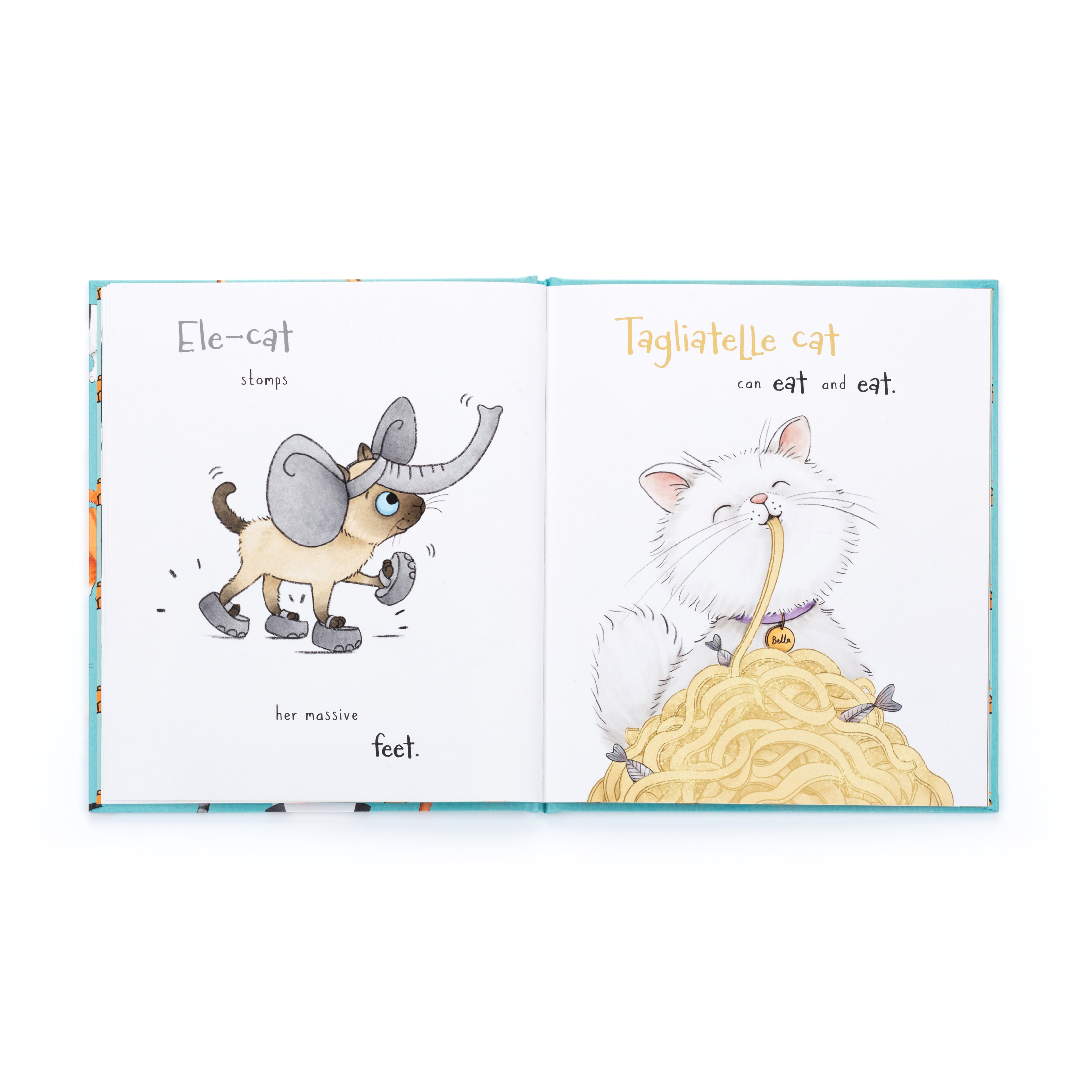 Premium Cat Supplies & Accessories for All Breeds - Perfect for Grooming, Playtime & Home Comfort
