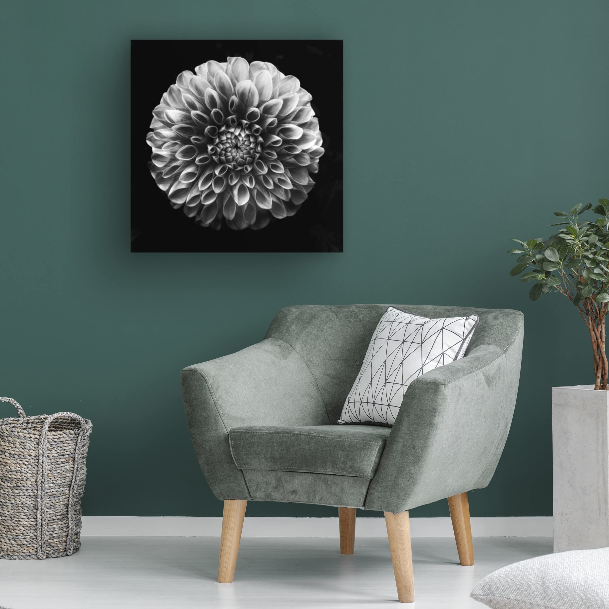 Trademark Fine Art 'Dahlia' Canvas Wall Art by Lotte Gronkjaer - Floral Home Decor for Living Room, Bedroom & Office