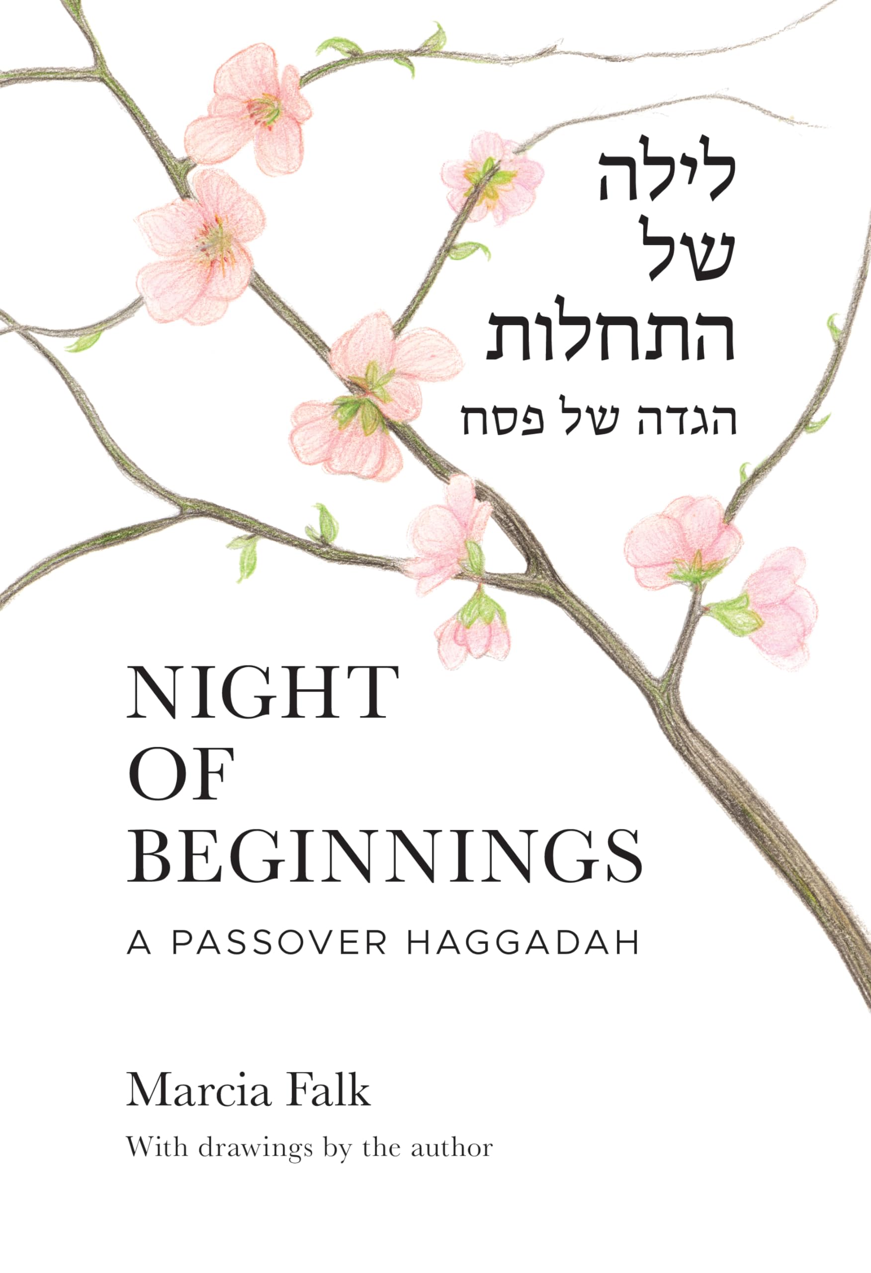 Night of Beginnings: A Passover Haggadah - Traditional Jewish Seder Guide for Family Celebrations & Holiday Gatherings